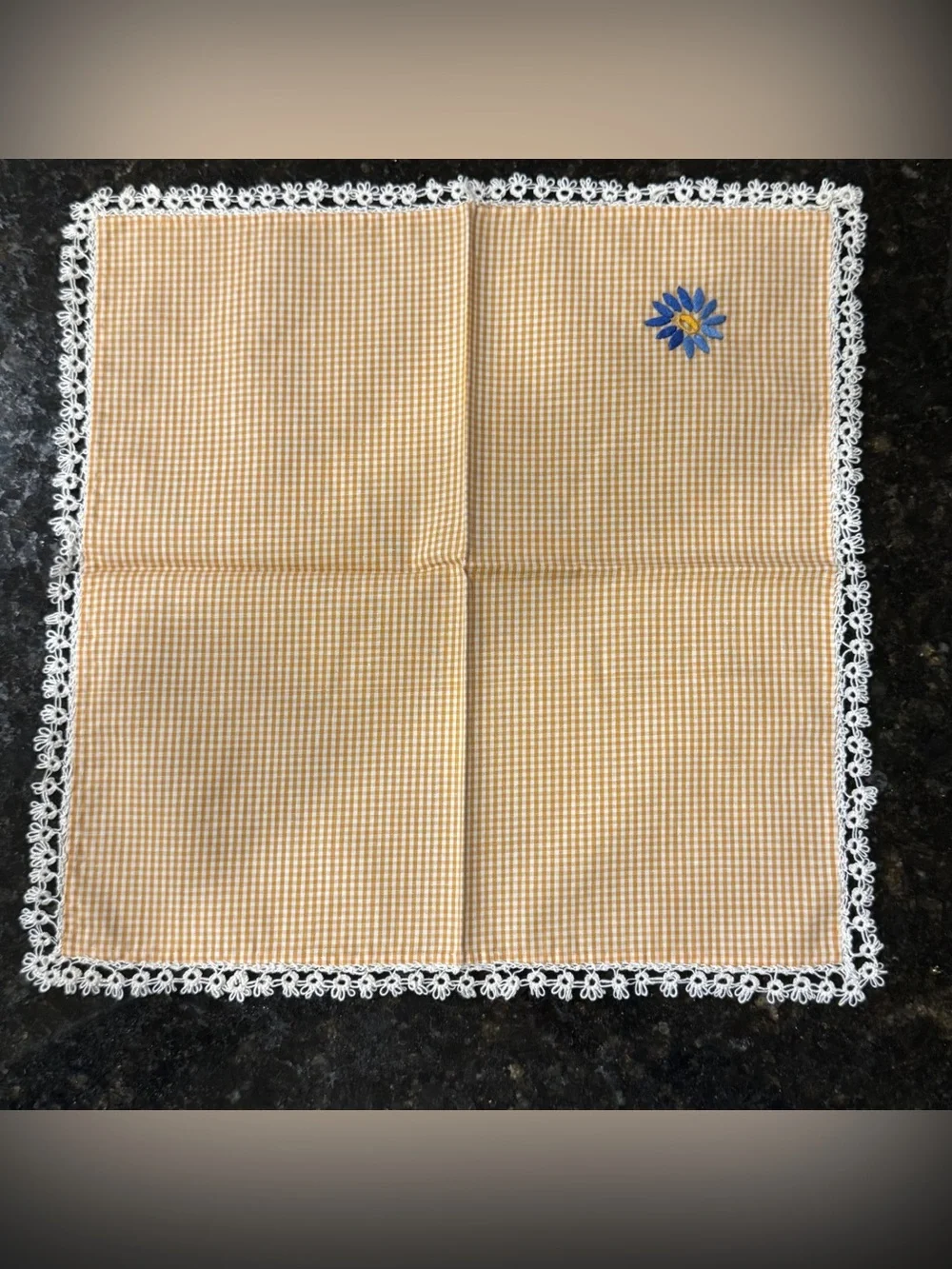Vintage Set of 2 Orange Gingham Lunch‎ Napkins | Hand Embroidered Blue Daisies
